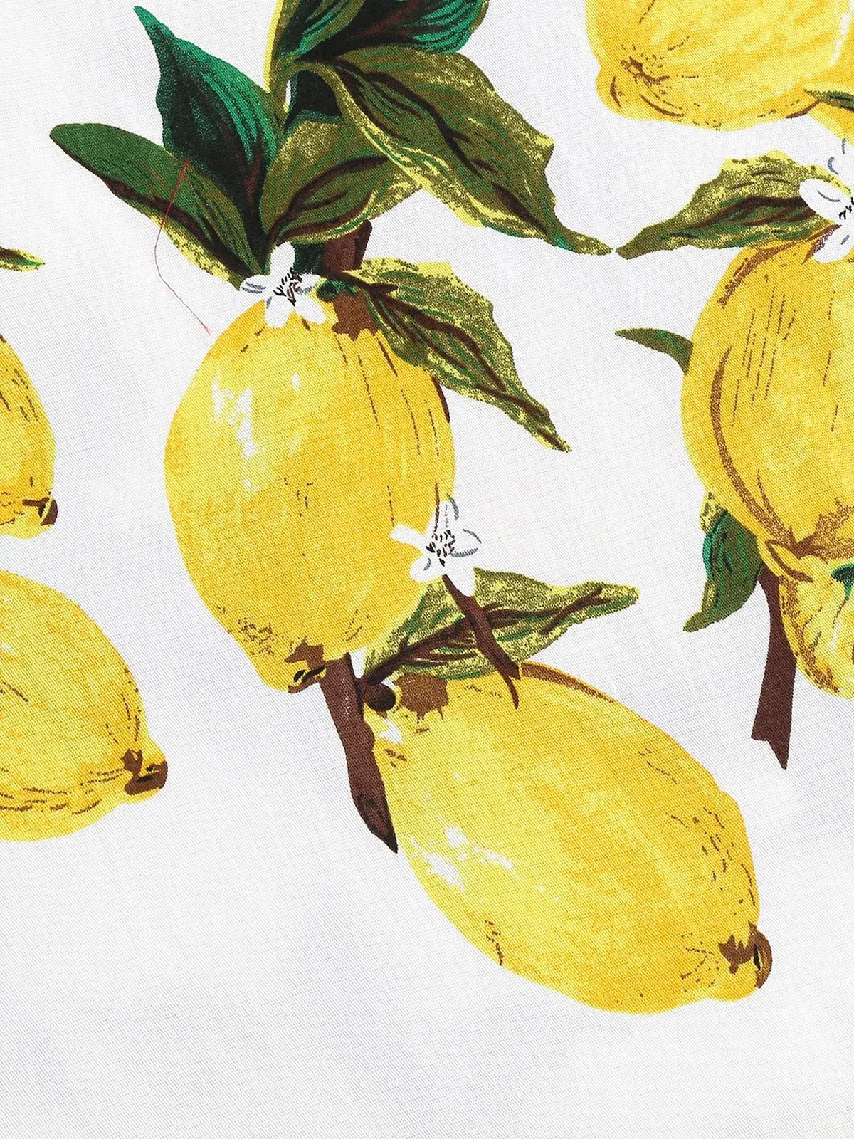 Années 50 Robe Trapeze Imprimé Citron - Ma Penderie Vintage